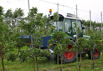 L1 base 775 L and Fendt in Apple Plantation 21tif Original 3 web